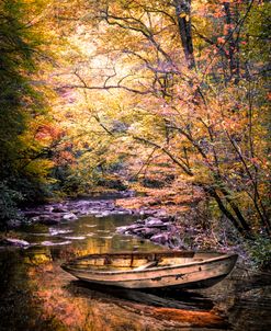 Autumn River Colors
