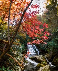 Autumn Waterfall in Full Color