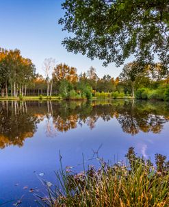 A Walk Around the Lake at Dawn