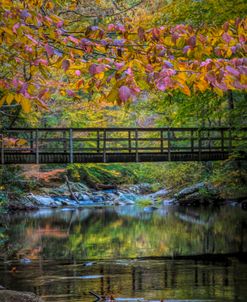 Bridge into Autumn Color