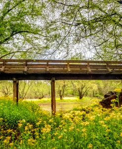 Crossing Through the Wildflowers