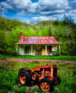 Rusty Tractor in the Wildflowers
