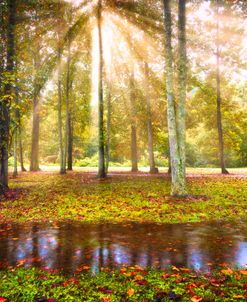 Spiritual Sunrays in Autumn