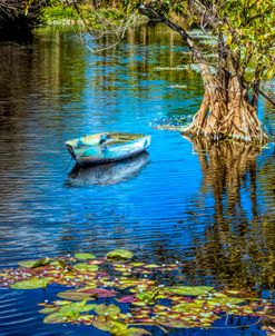 Reflections of a Blue Sky