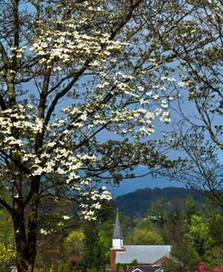 The Colors of Spring