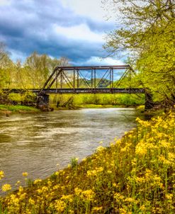 Wildflowers by the Old Trestle