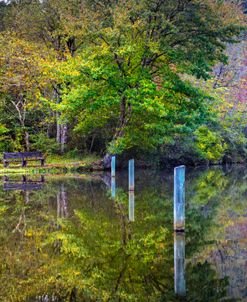 Perfect Autumn Reflections