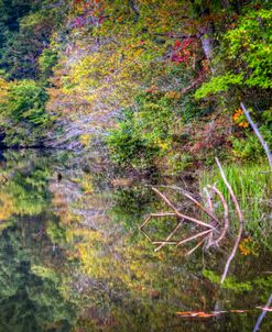 Perfect Fall Reflections_