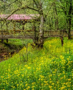 Covered Bridge in the Wildflowers