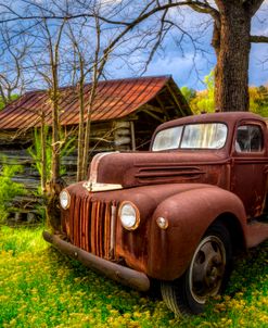 Vintage Ford in the Countryside