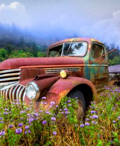 Vintage Chevy PIckup Truck in the Mountain Wildflowers
