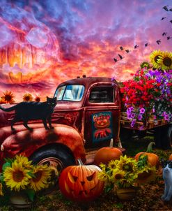 Rusty Truck in Sunflowers and Pumpkins
