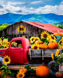 Sunflower Pumpkin Farm Truck