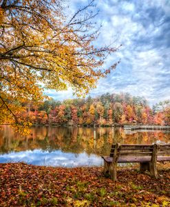 Autumn Morning