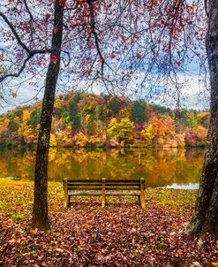 Bench at the Autumn Lake