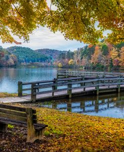 Autumn Bench at the Lake