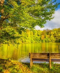 Spring Morning Bench at the Lake