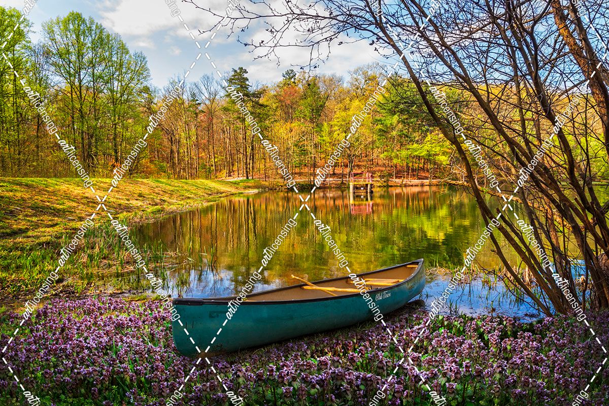 Canoe in the Spring Wildflowers at the Lake