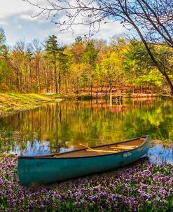 Canoe in the Spring Wildflowers at the Lake