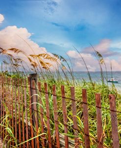 Beach Dunes in the Sunshine