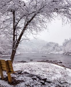 Winter Bench on the River