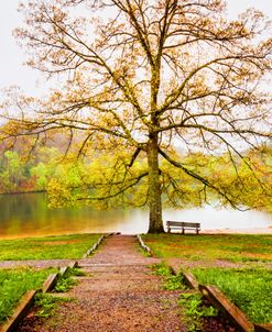 Still Waiting at the Lake