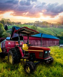 Tractor at the Farm in Wildflowers II