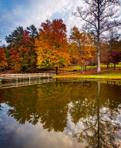 Wooden Dock in Fall Colors