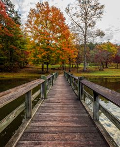 Long Wooden Fishing Dock in Autumn