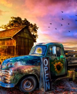 Old Truck at the Sunflower Farm