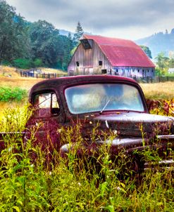 Rusty Truck Deep in the Wildflowers