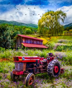 Tractor in the Farmer’s Field