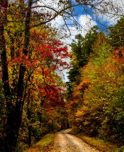 Autumn Trail by the Lake I