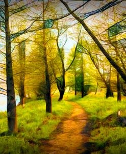 The Beautiful Forest Trail in Abstract
