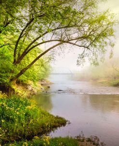 Misty Morning Fog and Sunrays over the Train River Trestle