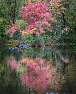 The Beauty of Autumn Reflections