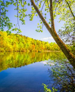 The Beauty of the Lake on a Clear Day