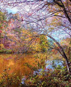 Dressed Up in Autumn Colors