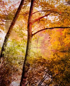 Moonrise Over Autumn