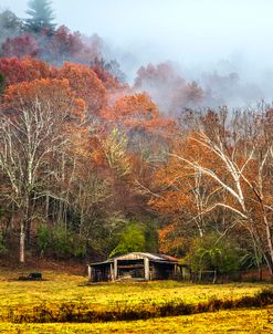 Below the Misty Mountains