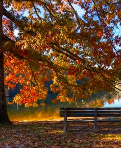 Waiting in the Fall Painting