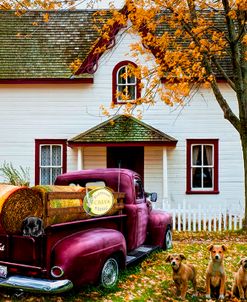 Butternut Creek Farm