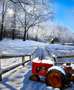 Red in the Snow