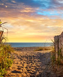 Take a Walk on the Dunes