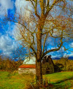 The Barn Farm Gate