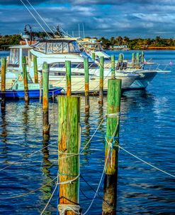 Docks at the Marina