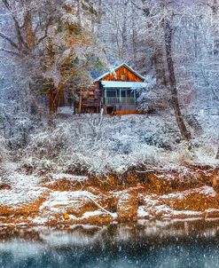 Nestled into Winter