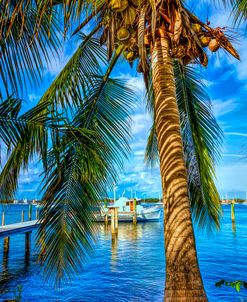 Peaceful Docks