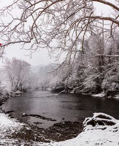 Snowing at the River