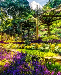 Floral Abundance in the Garden